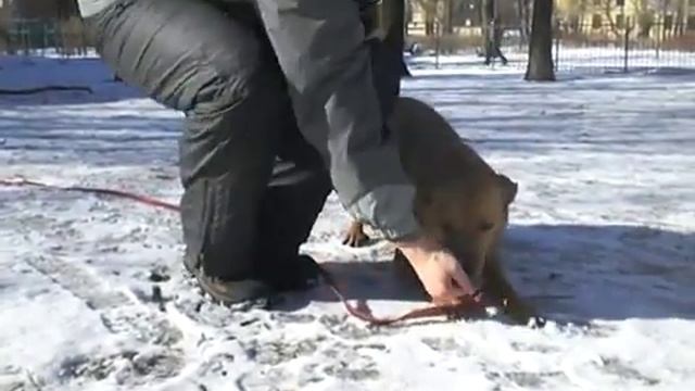 Изображение 030