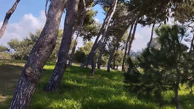 В парке Кейсарии-тиюль 02.24 смотреть онлайн