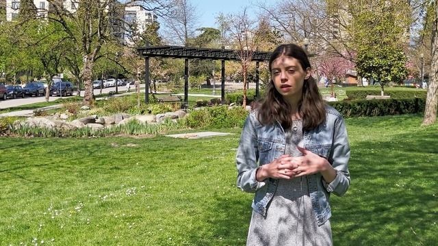 Housing Evictions Pt 2: The "Why" and the "When" Rough смотреть онлайн