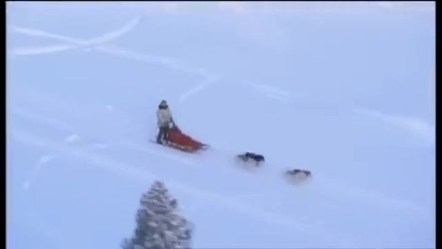 Ray Mears' Bushcraft S02E04 - Sweden