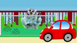 Машинка Бодя все серии подряд. Изучаем животных. Мультик для малышей