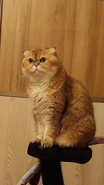 Когда менять фильтры? 🙀