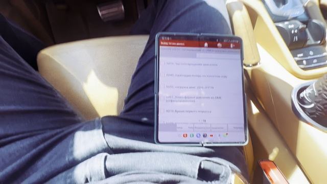 Cayenne Alexandr Rdy