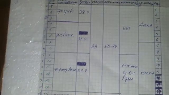 моя первая закладка перепелиных яиц в самодельный инкубатор часть 1 смотреть онлайн