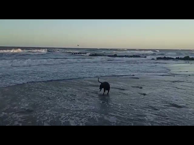 Зеленоградск. Балтика. смотреть онлайн