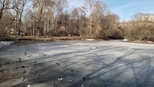 В теплый весенний денек прогулка в Харитоновский сад смотреть онлайн