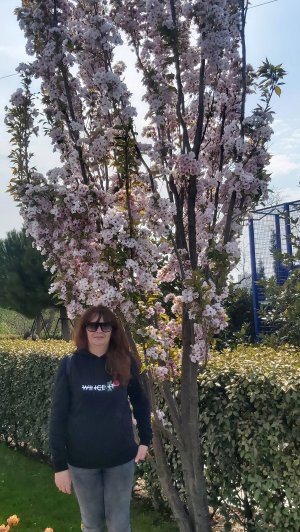 Цветочный рай. Севастополь 26.04.2025 г.