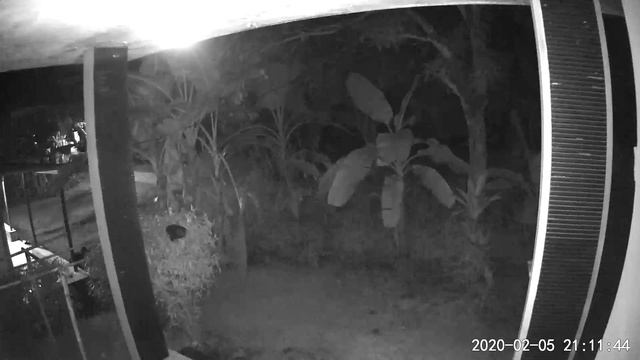 IP CAMERA CCTV mini Xiao Fang part 2 смотреть онлайн