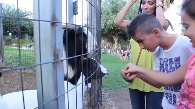 ROYAL BELVEDERE 4* Греция, Крит