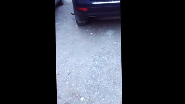 Кот жалуется на жизнь