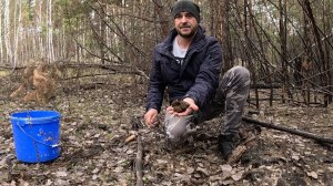 ЭТО ПРОСТО СКАЗКА!!Собираю весенние грибы на утренней зорьке