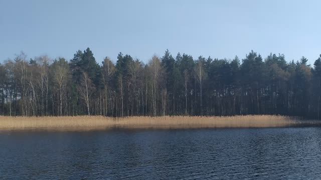 оз. Ласковское 20.04.2025