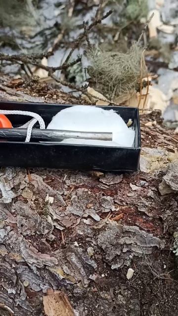 костёр "книга" смотреть онлайн