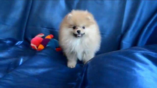 Мой фильм 3а