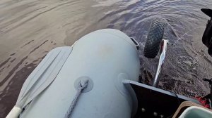 2023.07.22 Ловля щуки на хорватское яйцо, река Ямсовей, река Пур ЯНАО