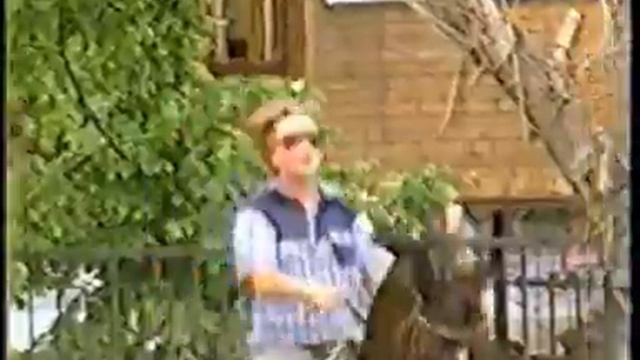 Sporthorse Dressage Post Menkova Нина Менькова - Пост