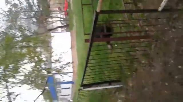 Дурень смотреть онлайн