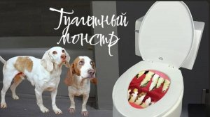 Собачки страшилки против злого туалета
