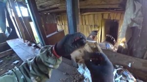 ТАКОГО Я ЕЩЁ НЕ ВИДЕЛ! В брошенных домах вся ИСТОРИЯ ПОСЛЕДНИХ ЖИТЕЛЕЙ!  Заброшенные деревни России.