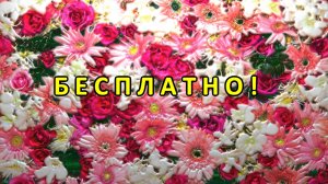 Цветомузыка, Виджеинг, Футаж, Фон, Анимация, Арт-пространство — Бесплатно! (2K 60 FPS) №42