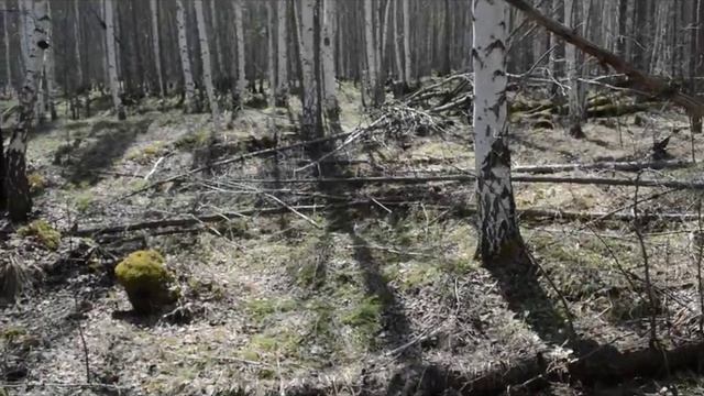 Не состоявшийся поход на Шаманку (20160521) смотреть онлайн