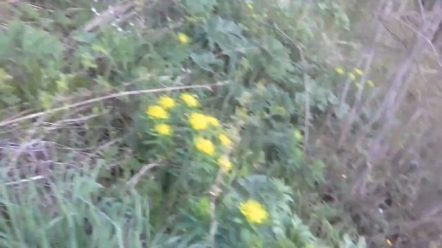 Восхождение на Лысую гору крутотень как круто