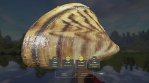 Русская рыбалка 4 трофей Дрейссены на реке Вьюнок