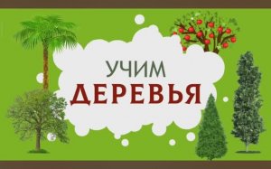 Изучаем Деревья. Карточки Домана для детей. Глобальное чтение. Учимся говорить. Запуск речи.