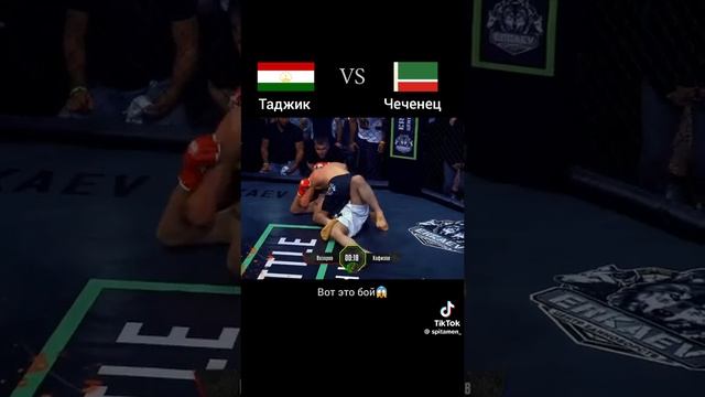 #Tojikon #tojikonshow #tojikon #tojikonnews #taronatj #tjk #tj  #Tajikistan #tajpro #tojikonpro #mus