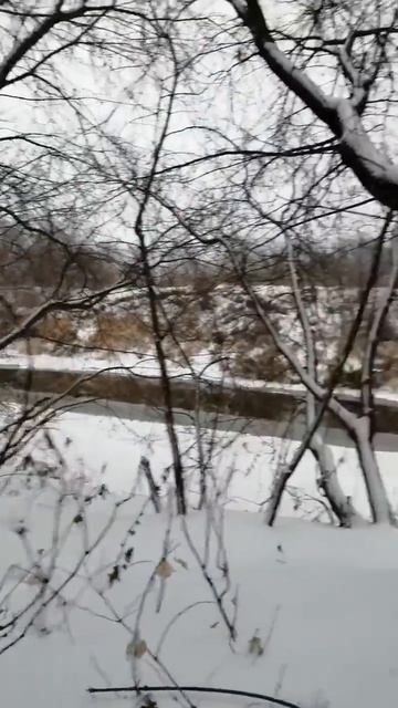поход с детьми на природу смотреть онлайн