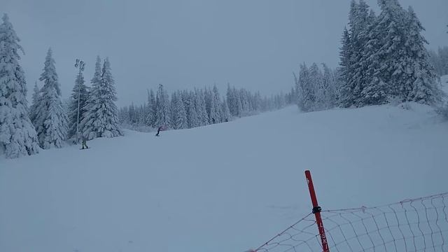 Витоша 06012019