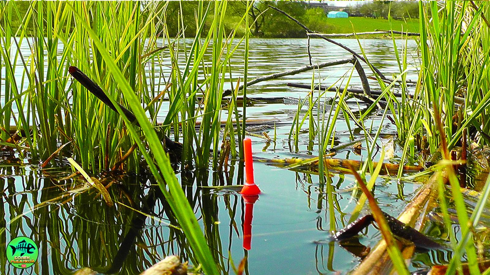 СЛАБОНЕРНЫМ НЕ СМОТРЕТЬ... ЗАБРАЛСЯ В ГЛУШЬ И НАЛОВИЛ ОГРОМНЫХ КАРАСЕЙ. смотреть онлайн