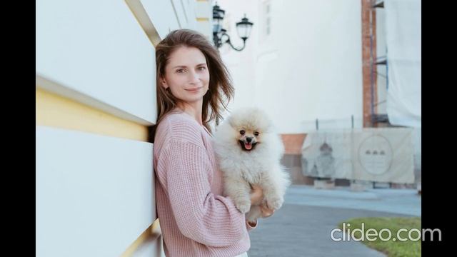Шпиц немецкий той "Найс" от 2-х месяцев до года смотреть онлайн