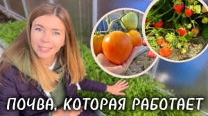 СЕКРЕТЫ ЗДОРОВОЙ ПОЧВЫ: как увеличить плодородие ваших грядок