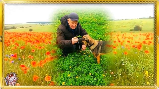 Помоги мне, Господи! исп Алексей Петрухин смотреть онлайн
