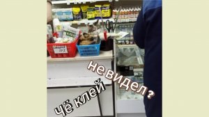 Купи Кота Buy a Cat