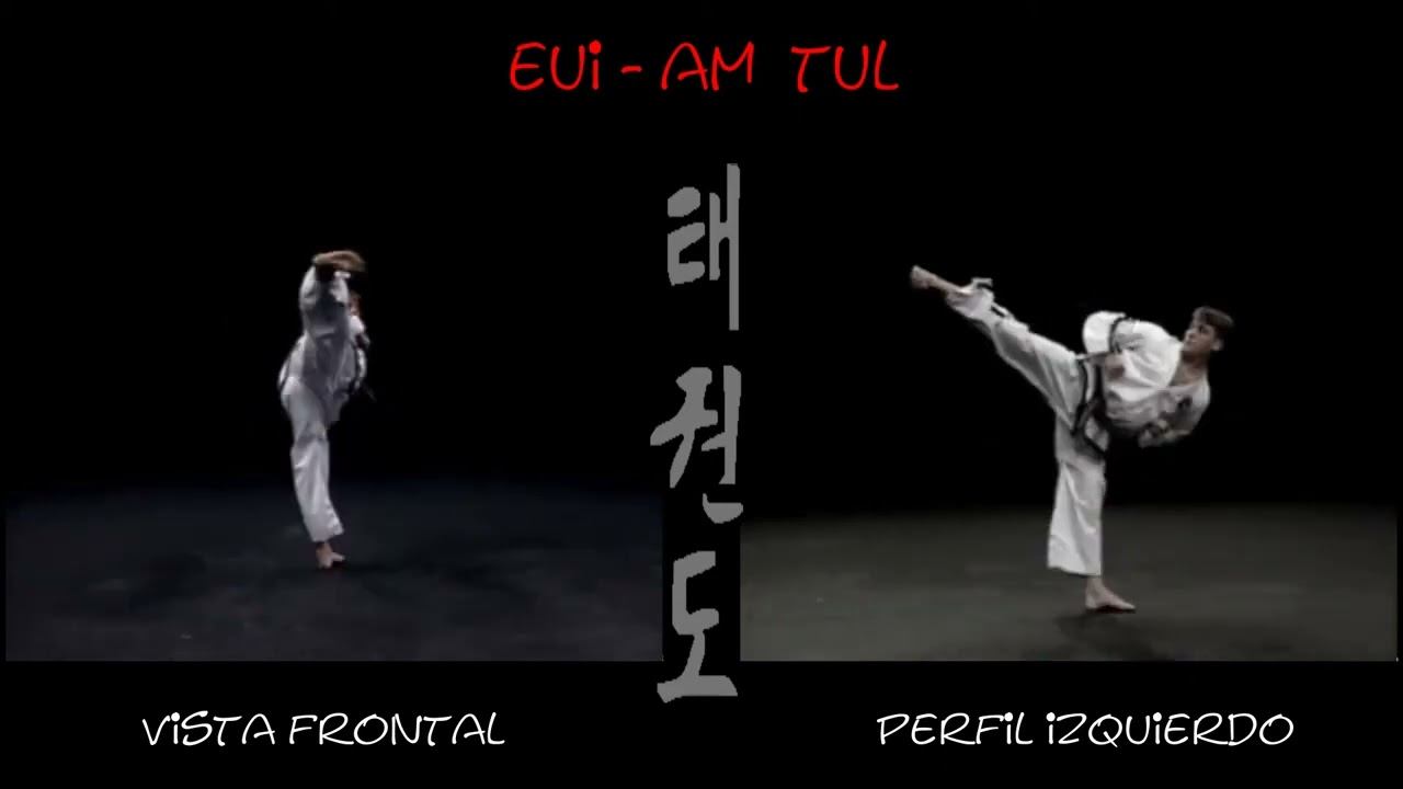 Ю ам видео тхэквондо туль черный пояс 2 Дан хьенг 45 движений комплекс Eui Am Tul Йи Ам спорт sport смотреть онлайн