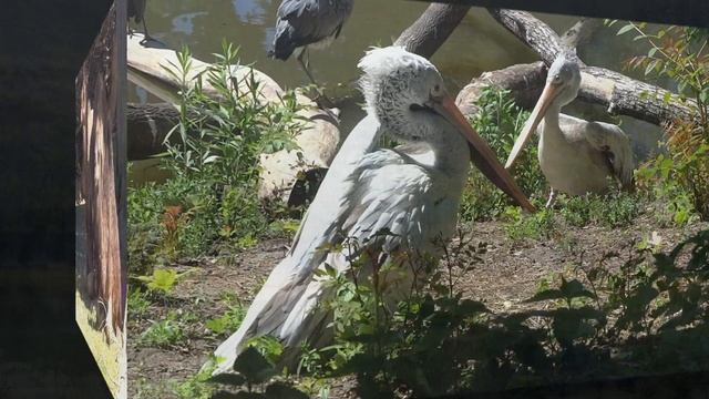 Ну расскажете вы всем, что это неправда!  А моим слухам все верят! Потому как я их сама придумываю!