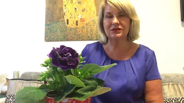 Рим.11мая,декрет о графике работы.