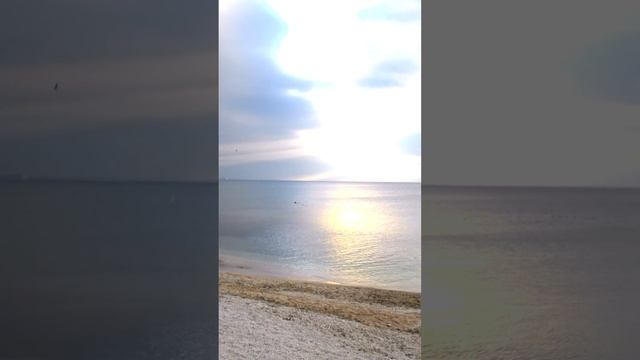 Феодосия Утро Дельфины смотреть онлайн