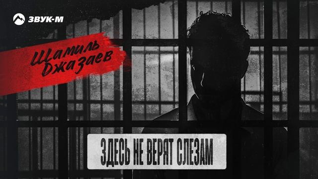 Шамиль Джазаев - Здесь не верят слезам | Премьера трека 2024 смотреть онлайн