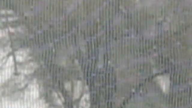 снег в июне