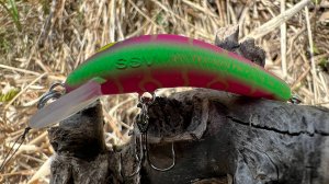 Тонущий Триумф-бокоплав  видеозарисовки с водоема...