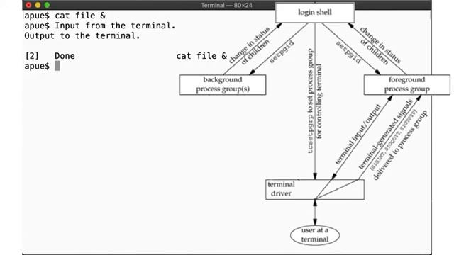 UNIX24_7_3 Advanced Programming in the UNIX Environment_ Week 07, Segment 3 - Job Control смотреть онлайн