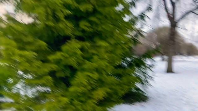 Пойдем прогуляемся по утру всем прекрасного утра снег летит 7.02.-12 у нас сегодня