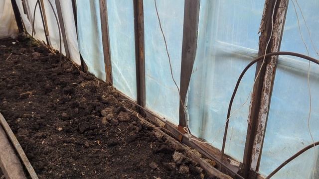 Начинаю огородный сезон. Первые попытки