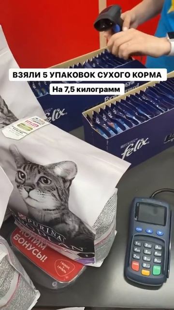 Зоомагазин в ТК Центр Города Краснодар смотреть онлайн