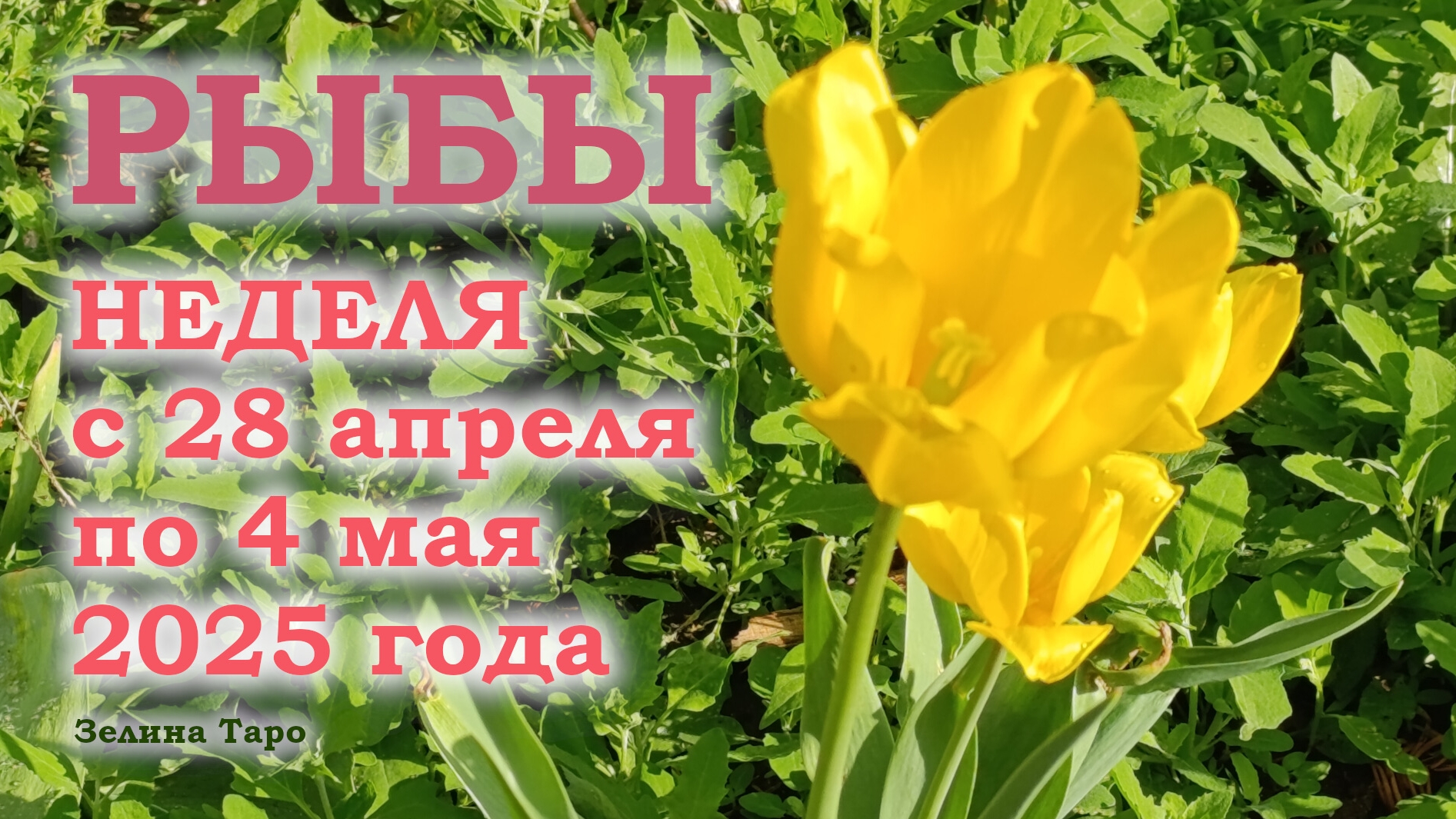 РЫБЫ | ТАРО прогноз на неделю с 28 апреля по 4 мая 2025 года