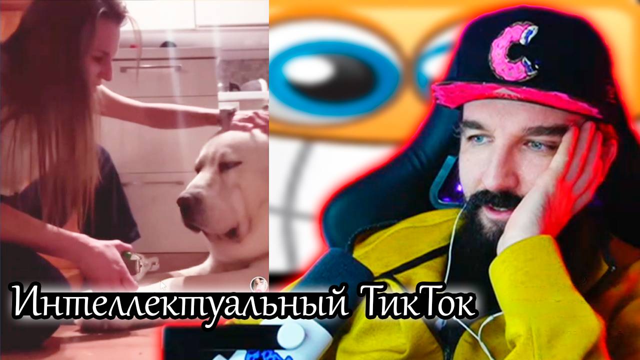 САМЫЙ ИНТЕЛЛЕКТУАЛЬНЫЙ / TikTok смотреть онлайн