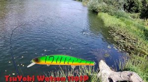 TsuYoki Watson 110SP - убийца щук? Тест японского воблера на реке Сок
